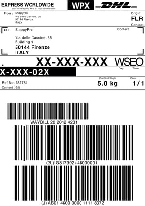 Esempio etichetta di spedizione DHL