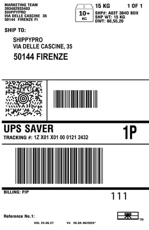 esempio etichetta di spedizione UPS