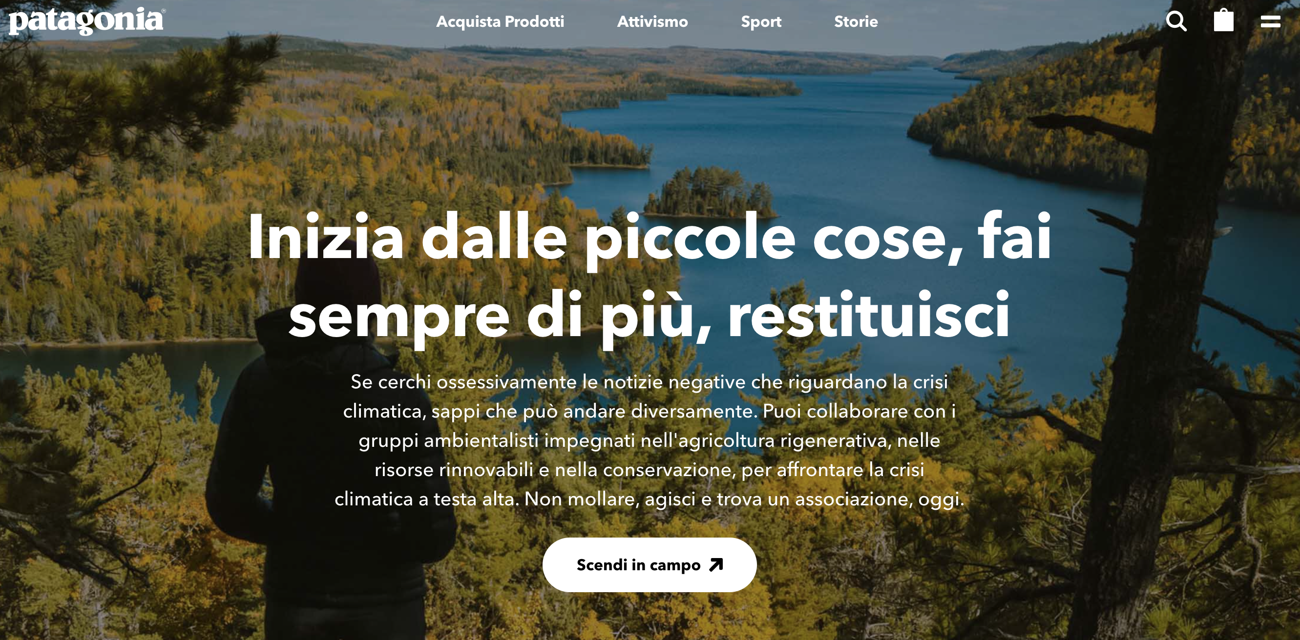 patagonia call to action