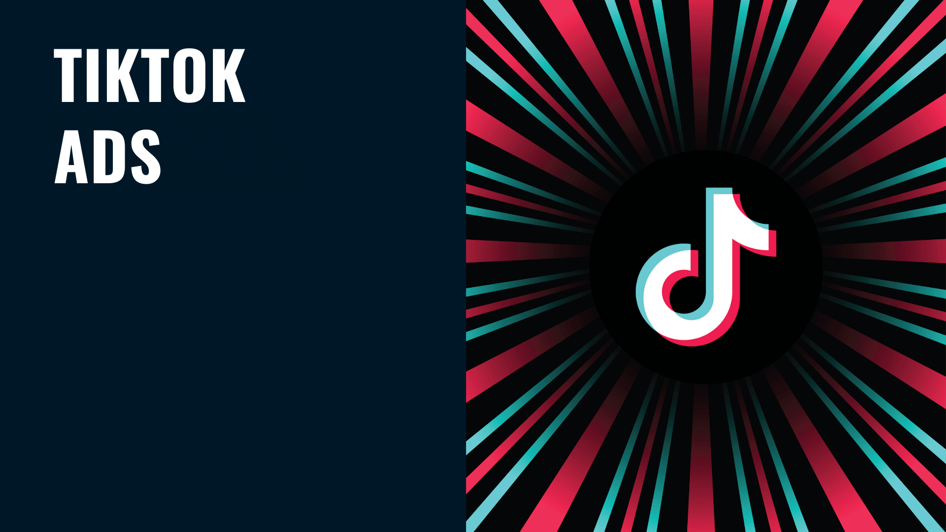 TikTok Ads